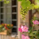 Agriturimo Ca Dorale Fano