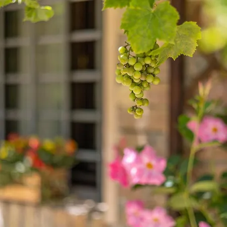 Agriturimo Ca Dorale 法诺